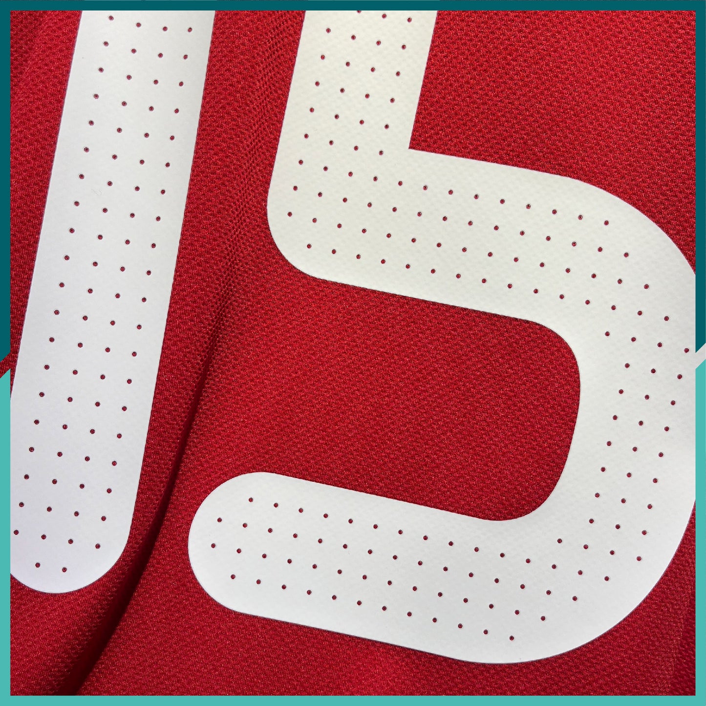 2008-09 Hong Kong Home Jersey (31th Guangdong HK Cup Version)