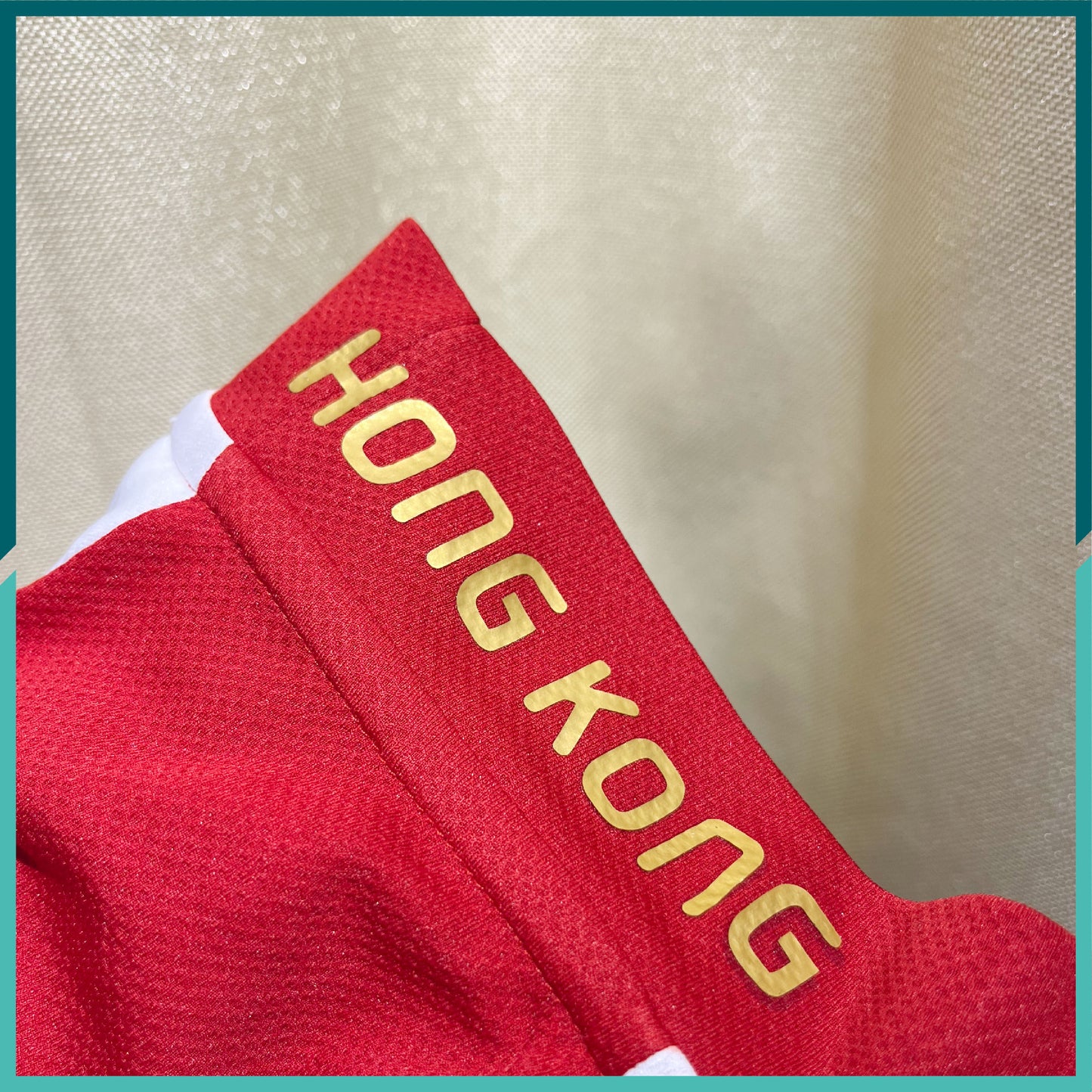 2008-09 香港隊主場球衣(第三十一届省港盃版本)