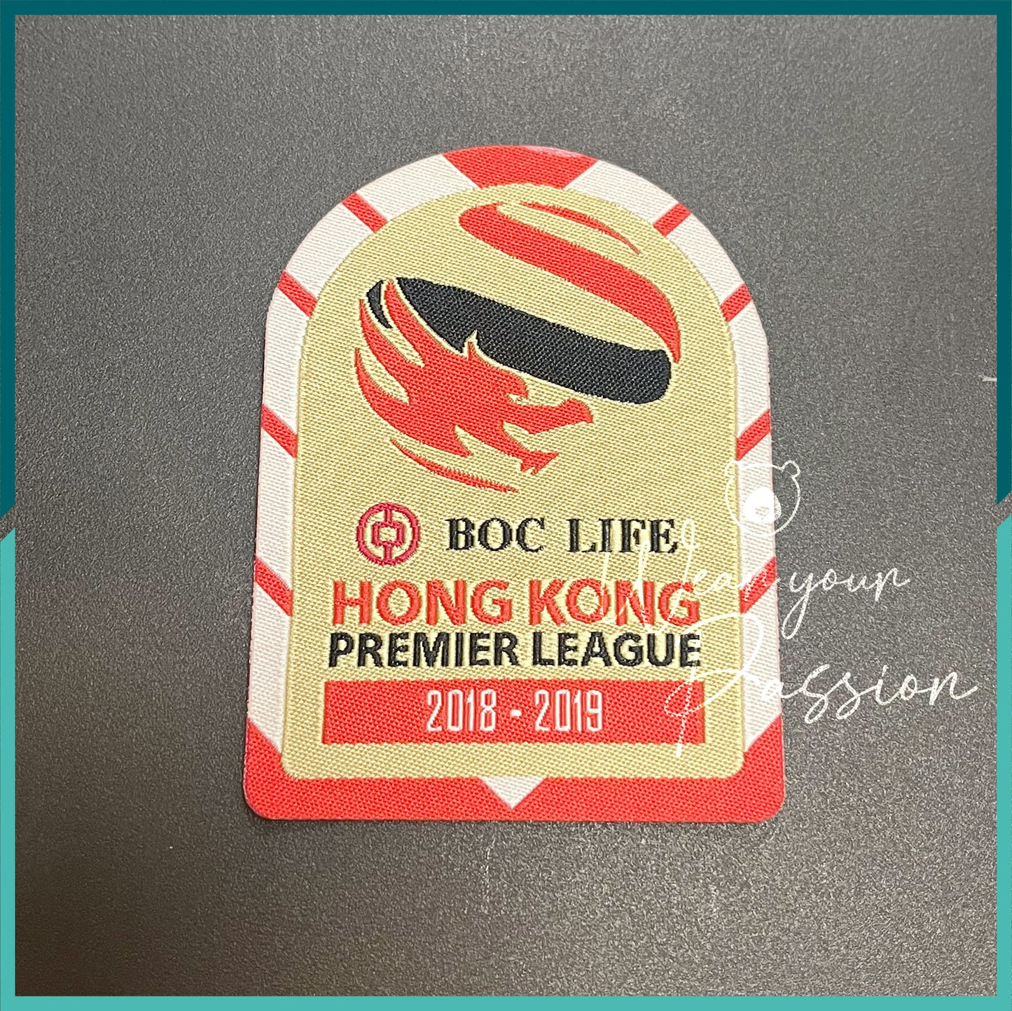 2018-19 香港超級聯賽衛冕冠軍臂章（傑志用）