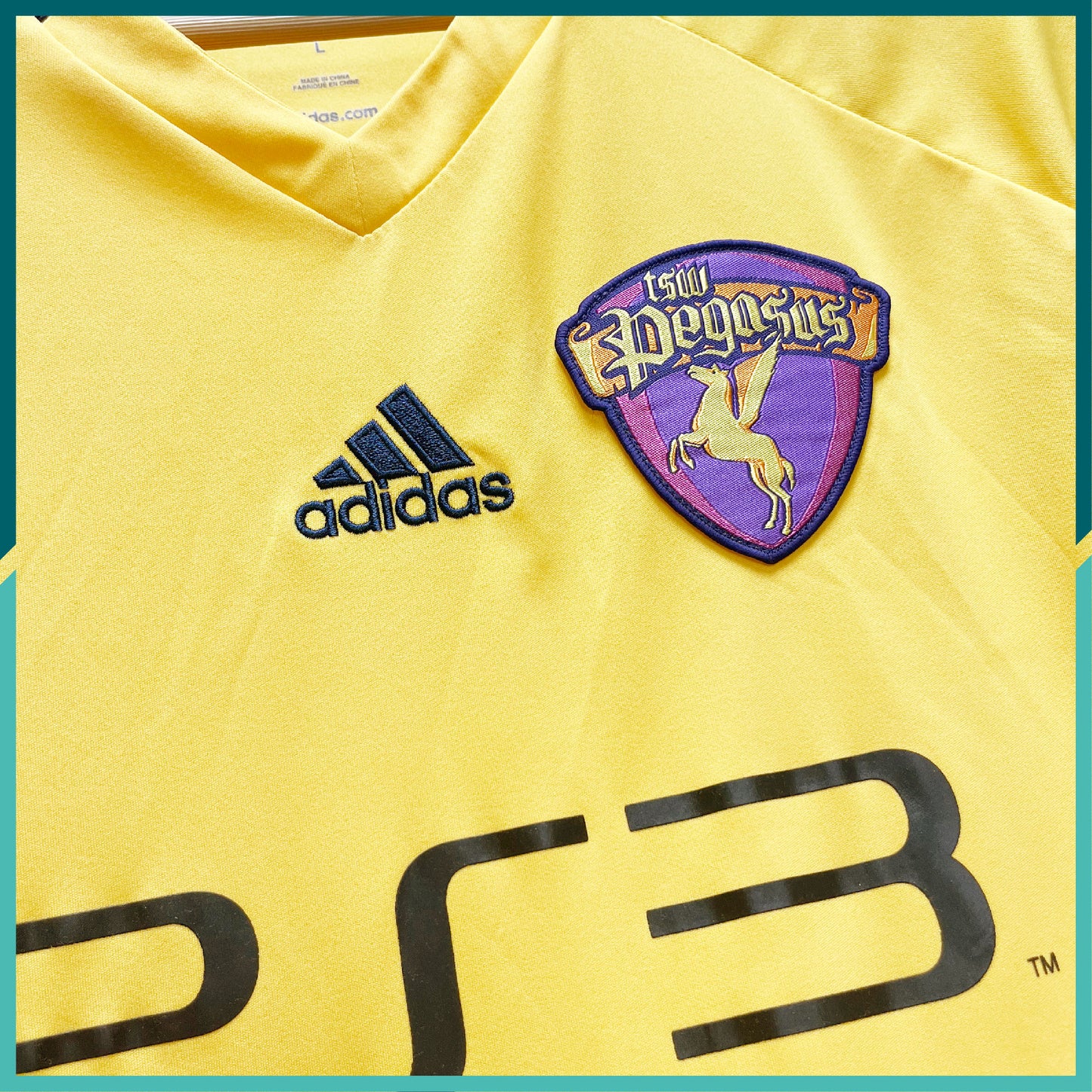 2010-11 天水圍飛馬主場球衣